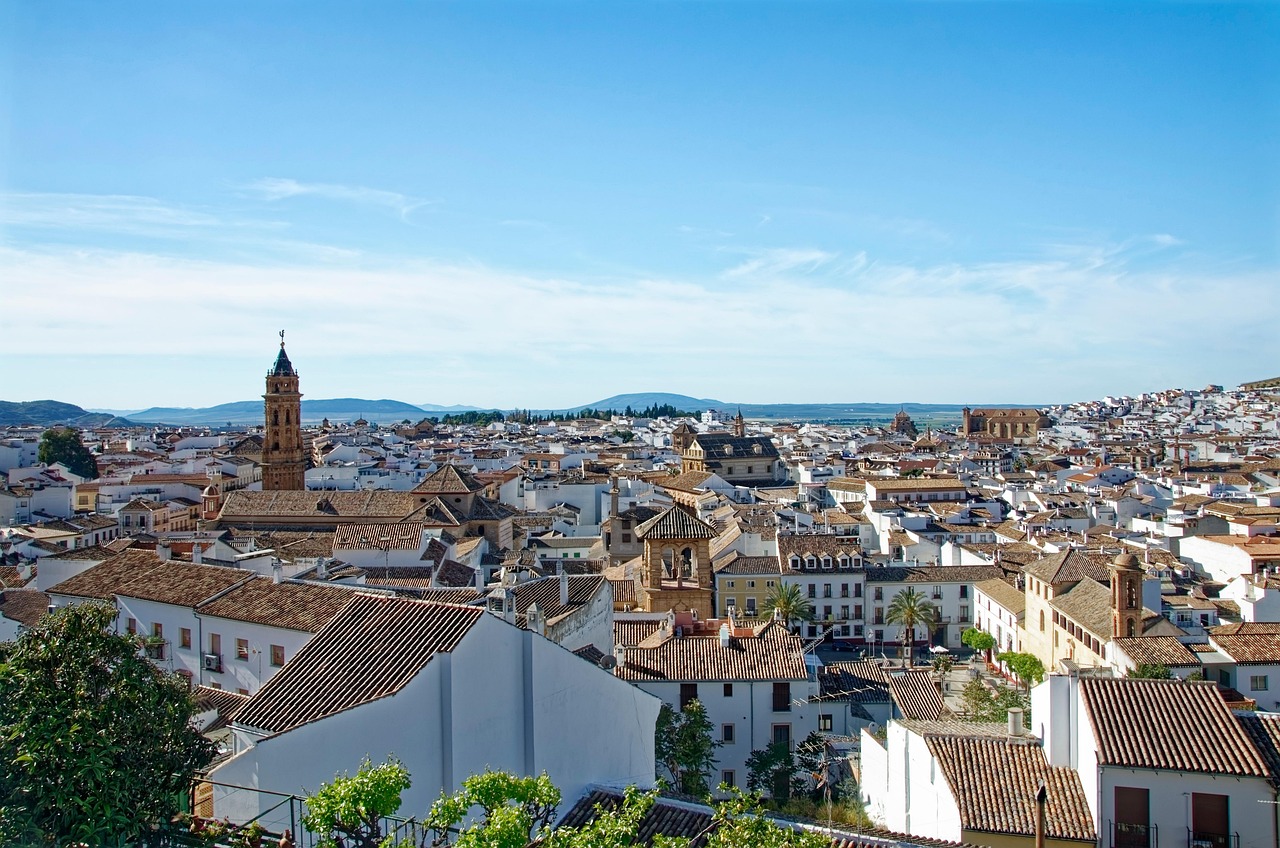 Conjunto de edificios en ciudad